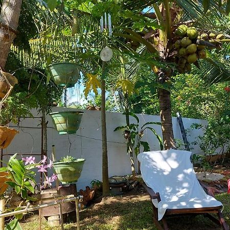 Wine Tree Garden Guesthouse Mirissa Luaran gambar