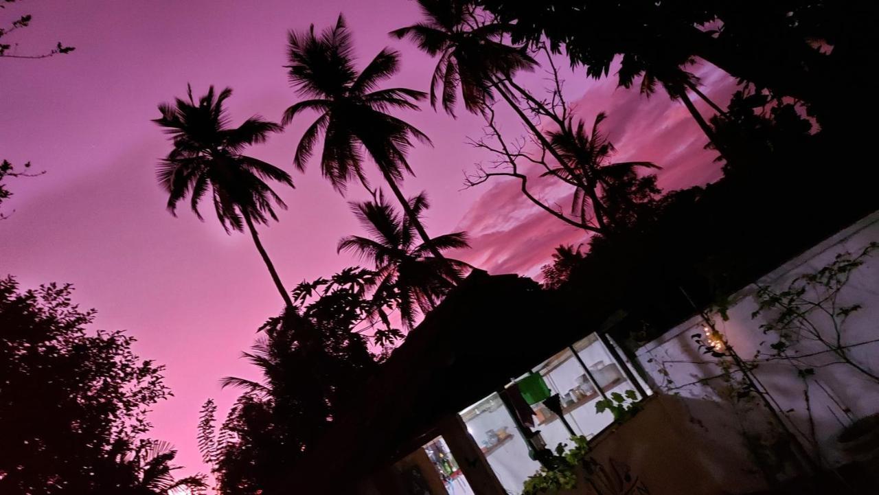 Wine Tree Garden Guesthouse Mirissa Luaran gambar